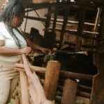 Uzo Aduba Instagram - The work that Heifer does is important because it really drives home what our purpose is as humans, I believe, which is to be contributing members to our community. And through the efforts of providing a cow, chicken, goat or seeds to a family in need, that seemingly small act is able to change not only the life of that individual, but the lives of everyone in that home, to be greater and bigger than they could have ever imagined.