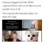 Uzo Aduba Instagram – “I’m here live I’m…I’m not a cat.” 😭😭😭 

Repost from @drzorakhan
•
I’m not a cat ..I’m rolling in my bed…..2 years on this video still makes me crack up. 🤣🤣Zora. 
.
.
#funny #hilarious #humor #lol #funyvideo #funnycat #funnyvideos #covid #zoom #haha #zoommeeting #catsfollowers #catsofinsta #zoomcat #catvideos #catlovers #ilovecats #cats #cats_of_instagram #catstagram