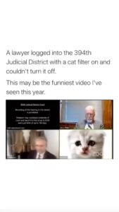 Uzo Aduba Instagram - “I’m here live I’m…I’m not a cat.” 😭😭😭 Repost from @drzorakhan • I'm not a cat ..I'm rolling in my bed.....2 years on this video still makes me crack up. 🤣🤣Zora. . . #funny #hilarious #humor #lol #funyvideo #funnycat #funnyvideos #covid #zoom #haha #zoommeeting #catsfollowers #catsofinsta #zoomcat #catvideos #catlovers #ilovecats #cats #cats_of_instagram #catstagram