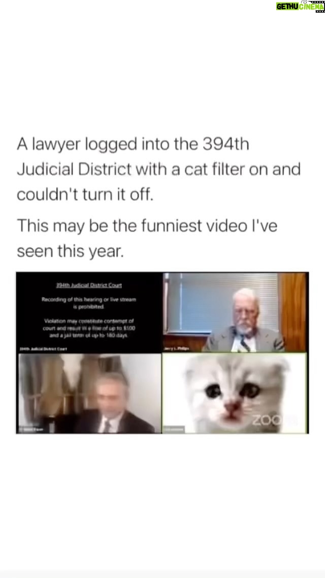 Uzo Aduba - 254.4K Likes - “I’m here live I’m…I’m not a cat.” 😭😭😭
Repost from @drzorakhan
•
I'm not a cat ..I'm rolling in my bed.....2 years on this video still makes me crack up. 🤣🤣Zora.
.
.
#funny #hilarious #humor #lol #funyvideo #funnycat #funnyvideos #covid #zoom #haha #zoommeeting #catsfollowers #catsofinsta #zoomcat #catvideos #catlovers #ilovecats #cats #cats_of_instagram #catstagram