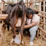 Uzo Aduba Instagram - The work that Heifer does is important because it really drives home what our purpose is as humans, I believe, which is to be contributing members to our community. And through the efforts of providing a cow, chicken, goat or seeds to a family in need, that seemingly small act is able to change not only the life of that individual, but the lives of everyone in that home, to be greater and bigger than they could have ever imagined.