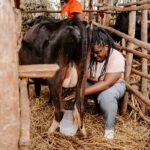 Uzo Aduba Instagram - The work that Heifer does is important because it really drives home what our purpose is as humans, I believe, which is to be contributing members to our community. And through the efforts of providing a cow, chicken, goat or seeds to a family in need, that seemingly small act is able to change not only the life of that individual, but the lives of everyone in that home, to be greater and bigger than they could have ever imagined.