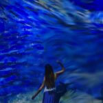 Valentina Oliveira Instagram - Blending In🪐🌟💫🌻 photo dump dessa experiência incrível ! @vangogh.experience 💙🌌