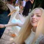Valeria Lukyanova Instagram - Все люди как люди , скромно стоят фоткают птичку , только Игрок везде ЛОМИТСЯ !) Что мне этот альбатрос издалека если надо просто селфи с ним ?))) 😂😂😂 люди обычно в шоке с моего поведения , как я бегаю , прыгаю , лазаю через забор и так далее! Кто еще как я по темпераменту ? И у кого КУЧА ЭНЕРГИИ НА РАЗНОГО РОДА ЧУДАЧЕСТВА ?) кстати этот баклан меня покусал потом 👌👌👌😂 #инрок #игра #отдых #веселье #маг #мексика #юкатан #шельха #аматуе