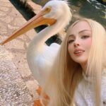 Valeria Lukyanova Instagram - Все люди как люди , скромно стоят фоткают птичку , только Игрок везде ЛОМИТСЯ !) Что мне этот альбатрос издалека если надо просто селфи с ним ?))) 😂😂😂 люди обычно в шоке с моего поведения , как я бегаю , прыгаю , лазаю через забор и так далее! Кто еще как я по темпераменту ? И у кого КУЧА ЭНЕРГИИ НА РАЗНОГО РОДА ЧУДАЧЕСТВА ?) кстати этот баклан меня покусал потом 👌👌👌😂 #инрок #игра #отдых #веселье #маг #мексика #юкатан #шельха #аматуе