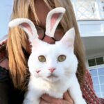 Valerie Bertinelli Instagram – Happy Easter! 🤍🐰😹
#circa2019
#henry #snapchatmishap