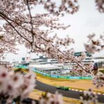 Valtteri Bottas Instagram - Saturday 🇯🇵🏁 #VB77 #F1 #JapaneseGP