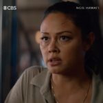Vanessa Lachey Instagram - TONIGHT Season 2 FINALE! 10/9c on @cbstv! #NCISHawaii