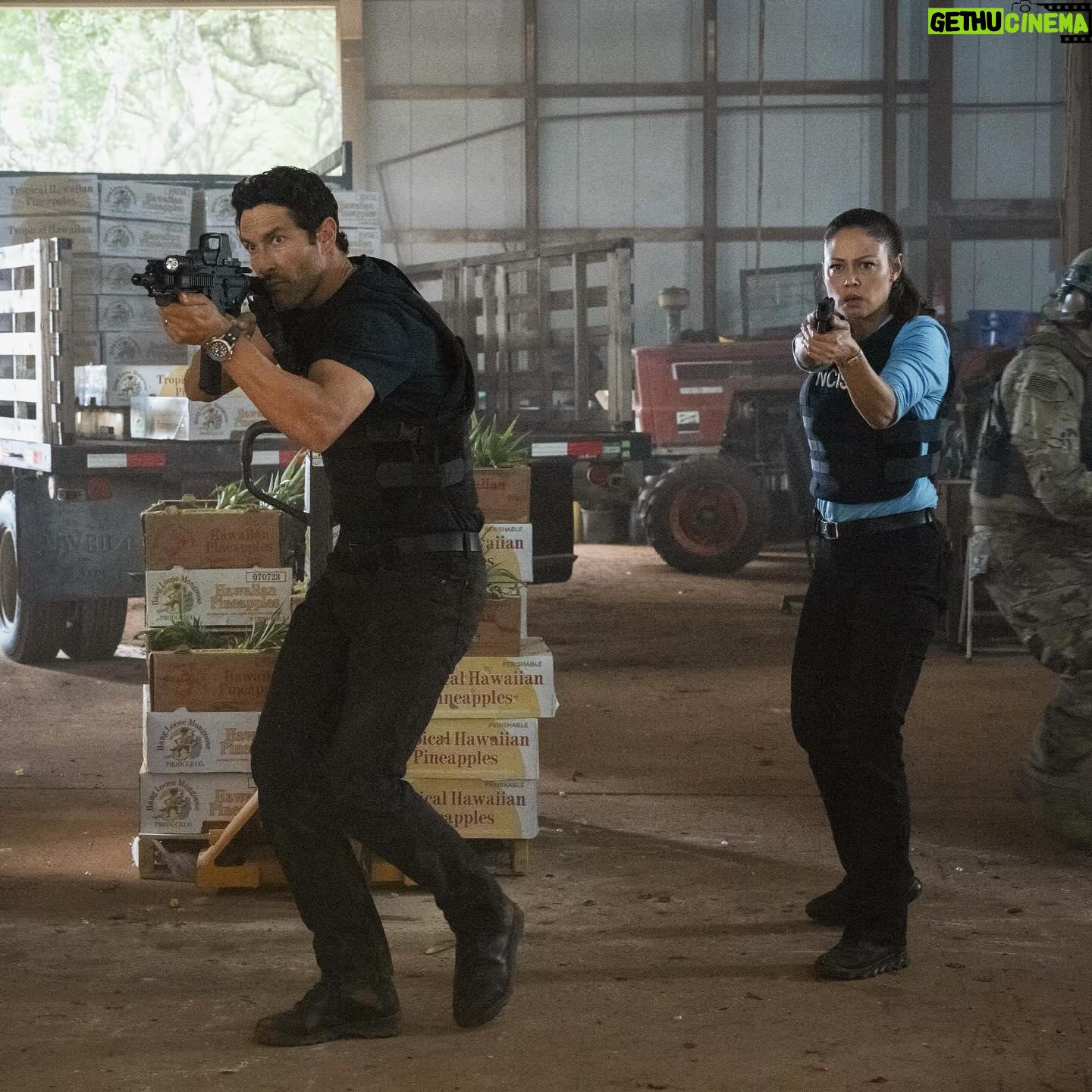 Vanessa Lachey Instagram - Jane & Jesse! Instagram “in a field” vs. going out “into the field”! Don’t miss tonight’s NEW NCIS: Hawai’i episode! @tengstagram is back directing and he brought the heat! 🔥