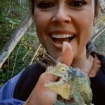 Vanessa Lachey Instagram - I swear he’s posing!🦎