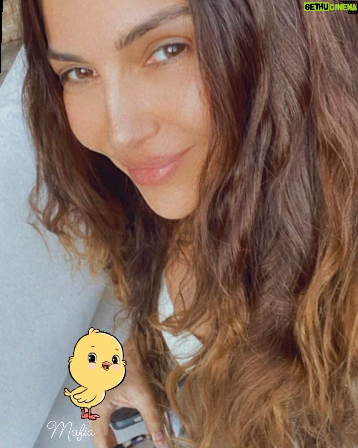 Vanessa Marcil Instagram - What do y’all want to know? #ChickMafia