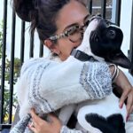 Vanessa Marcil Instagram - @roadogs rescue