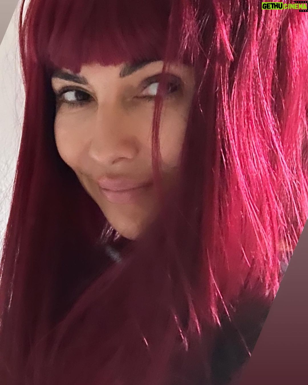 Vanessa Marcil Instagram - How are y’all?
