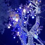 Vanessa Marcil Instagram - Ok Happy ✡️ Christmas decorations time🤸🏽‍♂️🤸🏽‍♂️🤸🏽‍♂️🤸🏽‍♂️