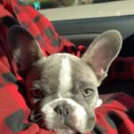 Vanessa Marcil Instagram - Happy Abel Marcil day y’all
