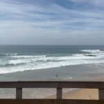 Vanessa Martins Instagram - Foto dump do 1o fim‑de‑semana pós-obras. Fomos ao mercado encher a despensa de coisas boas. Pedimos lenha para as noites frias que se fazem sentir, ainda. Tivemos literalmente aproveitar cada bocadinho e cada detalhe. Ainda não está a 100%, mas está quase! 🥰