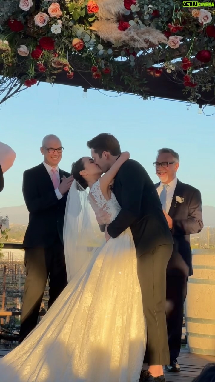 Vanessa Merrell Instagram - My 2023: married, butterflytiger, travel, cats ♡