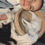 Vanessa Merrell Instagram – POV: the girl whose cats have become her entire personality