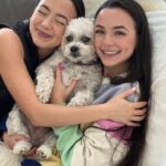 Vanessa Merrell Instagram - It’s a Tiger cuddle puddle🥰