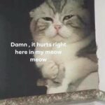 Vanessa Merrell Instagram – swipe for the best photos you will ever see in your life