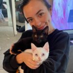 Vanessa Merrell Instagram - Our new little family ♡ meet Legolas (the white cat) and Aragorn (the black cat)! John surprised me with them for my bday from @kittenrescuela ♥ they’re already so sweet and cuddly and the loveeee to play! 🥺