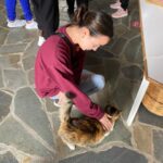 Vanessa Merrell Instagram – *travels to different countries and comes back with only cat content   a monkey*