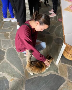 Vanessa Merrell Instagram - *travels to different countries and comes back with only cat content   a monkey*
