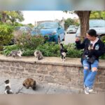 Vanessa Merrell Instagram – *travels to different countries and comes back with only cat content   a monkey*
