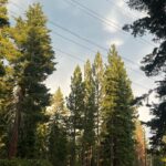 Vanessa Merrell Instagram – Gone exploring, leave a message after the beep 📲⛰️🥾🌲