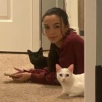 Vanessa Merrell Instagram – My aesthetic is: sweatshirts with a dash of cat hair