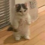 Vanessa Merrell Instagram – hello there 💕