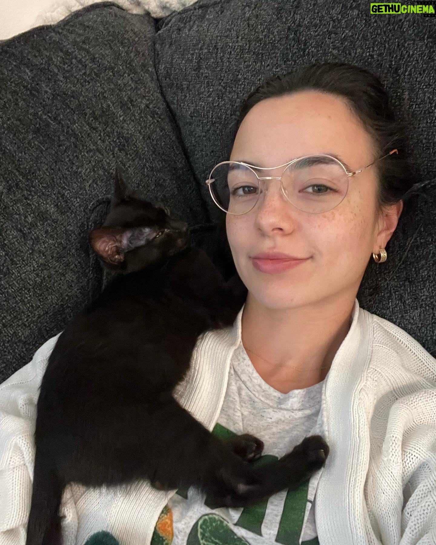 Vanessa Merrell Instagram - Our new little family ♡ meet Legolas (the white cat) and Aragorn (the black cat)! John surprised me with them for my bday from @kittenrescuela ♥ they’re already so sweet and cuddly and the loveeee to play! 🥺