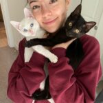Vanessa Merrell Instagram - Our new little family ♡ meet Legolas (the white cat) and Aragorn (the black cat)! John surprised me with them for my bday from @kittenrescuela ♥ they’re already so sweet and cuddly and the loveeee to play! 🥺