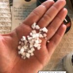 Vanessa Ray Instagram - Thank you @gomoemoe for indulging in my salt obsession (thanks to @jennabunnell HULL!) I’m losing my mind over these flakes! @sanjuanislandseasalt #babysfirstreel