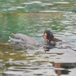 Vanessa Villela Instagram - What a dream day we had at @discoverycove to continue celebrating our 1st wedding anniversary 🥰 Wowwww🤩 The love and care they give to all the animals here is something incredible and the company is building a purpose-driven company to create experiences that matter and inspire people to protect animals and the wild wonders of the world which if you know me you know how important that is for me and they’re definitely making impact. 🙏🤍 Special thanks to Todd for making this day even more special✨✨ Thank you so much for an unforgettable experience @discoverycove @visitorlando 🩵🐬🩵 #DiscoveryCove #VisitOrlando Que día de ensueño tuvimos en @discoverycove para seguir celebrando nuestro 1er aniversario de bodas Wowwww🤩 El amor y el cuidado que brindan a todos los animales aquí es algo increíble y la compañía está construyendo una empresa con un propósito para crear experiencias que importen e inspiren a las personas a proteger a los animales y las maravillas salvajes del mundo. Muchas gracias por una experiencia inolvidable @discoverycove @visitorlando