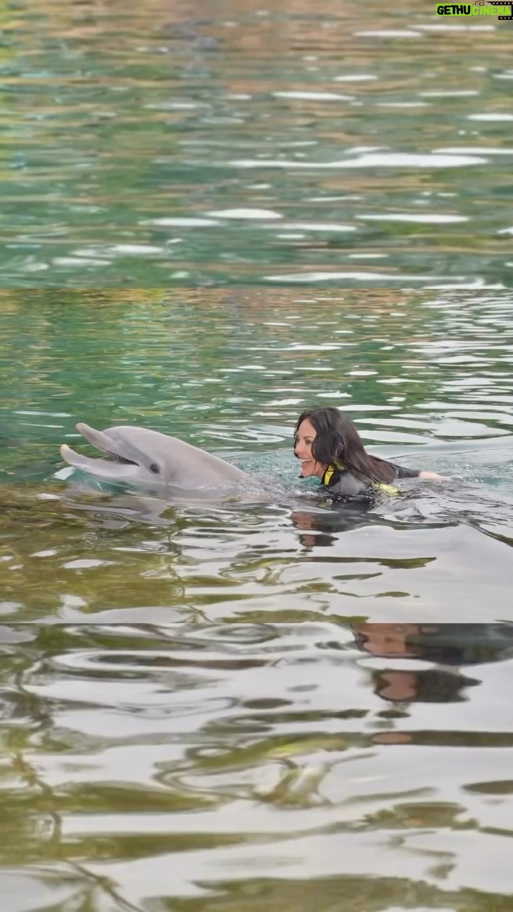 Vanessa Villela - 1.7K Likes - What a dream day we had at @discoverycove to continue celebrating our 1st wedding anniversary 🥰
Wowwww🤩 The love and care they give to all the animals here is something incredible and the company is building a purpose-driven company to create experiences that matter and inspire people to protect animals and the wild wonders of the world which if you know me you know how important that is for me and they’re definitely making impact. 🙏🤍
Special thanks to Todd for making this day even more special✨✨
Thank you so much for an unforgettable experience @discoverycove @visitorlando 🩵🐬🩵
#DiscoveryCove #VisitOrlando
Que día de ensueño tuvimos en @discoverycove para seguir celebrando nuestro 1er aniversario de bodas
Wowwww🤩 El amor y el cuidado que brindan a todos los animales aquí es algo increíble y la compañía está construyendo una empresa con un propósito para crear experiencias que importen e inspiren a las personas a proteger a los animales y las maravillas salvajes del mundo. Muchas gracias por una experiencia inolvidable @discoverycove @visitorlando