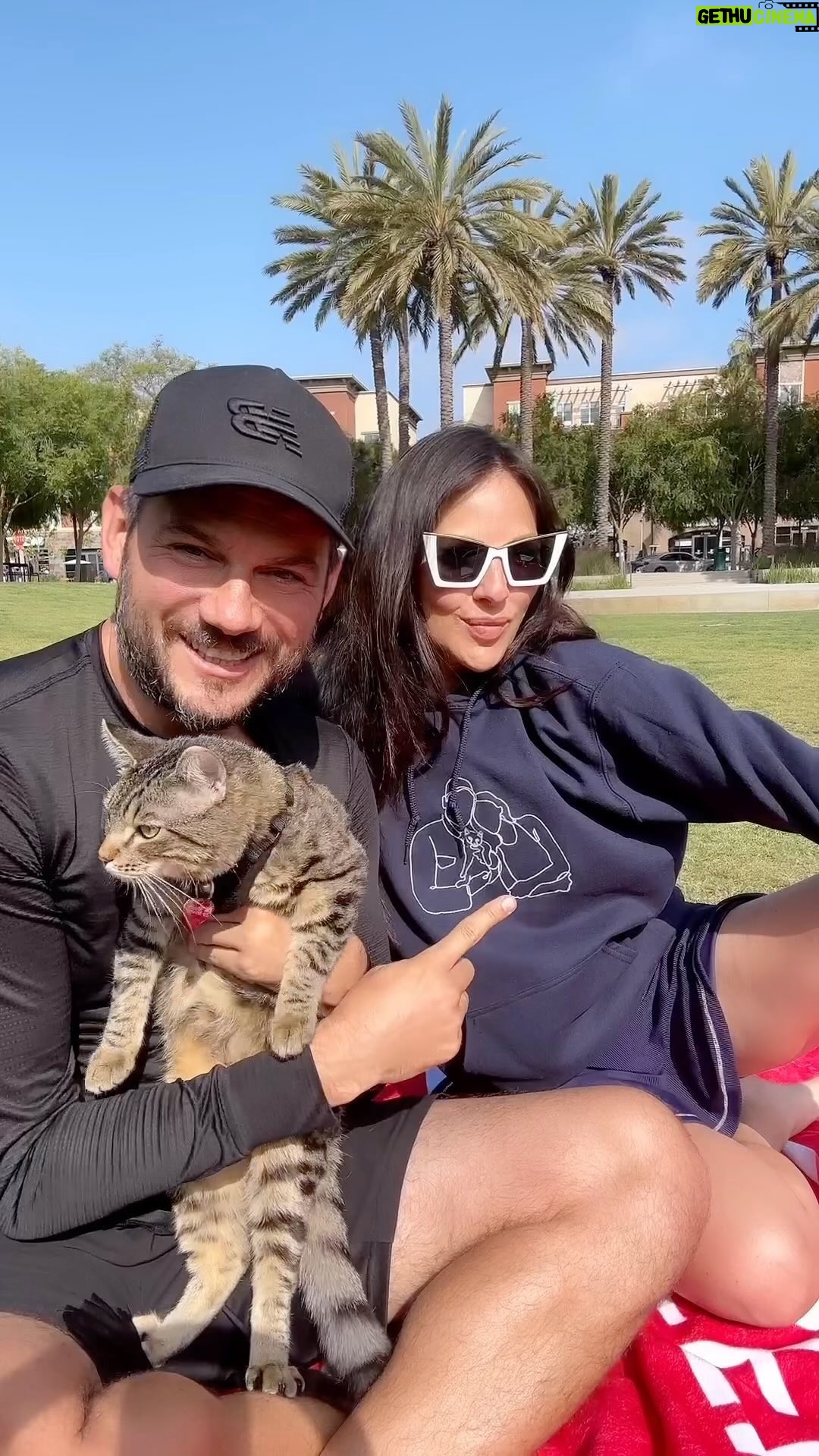 Vanessa Villela Instagram - Happy Sunday! My husband surprised me with a beautiful and meaningful gift to celebrate Osita coming into our lives 6 months ago ❤️🐱 it’s so lovely 🥰 If you’re interested in something similar go to @simplylinesofficial & feel free to use the code VANESSA40 for a 40% discount on your order, just sharing a bit of our joy with you all!🦋 ¡Feliz domingo! Mi esposo me sorprendió con un hermoso y significativo regalo para celebrar que Osita llegó a nuestras vidas hace 6 meses ❤️🐱 es tan encantador 🥰 Si estás interesado en algo similar, ve a @simplylinesofficial y siéntete libre de usar el código VANESSA40 para obtener un 40 % de descuento en tu pedido, ¡solo compartiremos un poco de nuestra alegría con todos ustedes! 🦋