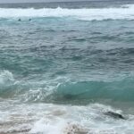 Vanessa Villela Instagram – Maui!!! 🌴 Wow what a beautiful place on earth! 😍Found a secret gem in paradise! My beach house was a dream, waking up with the sound of the waves, being able to jump into the ocean on my doorstep, walking on the beach with turtles and the most beautiful raw nature😍 I highly recommend you this place @paiainn ✨✨✨✨
¡Encontré una joya secreta en Maui! Mi casa de playa era el paraíso, un sueño, despertar con el sonido del océano, caminar en la playa con tortugas y la naturaleza más hermosa 😍 @paiainn ✨✨✨✨ 
Thanks Michael for the excellent hospitality!! 
4th photo is my favorite!!!☺️

Photos by my Hubby @tomfraud ❤️Milla Bikini by @lascivious 👙 🖤 
Butterfly necklace “The power of Love” by Vanessa Villela Link in my BIO 
Abs by my favorite pilates place @karenlordpilates