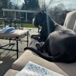 Vanessa Williams Instagram - Welcoming Easter joy and light to this blessed season 🐣Here’s my big bunny, Roscoe 🐾🐰 Happy Sunday