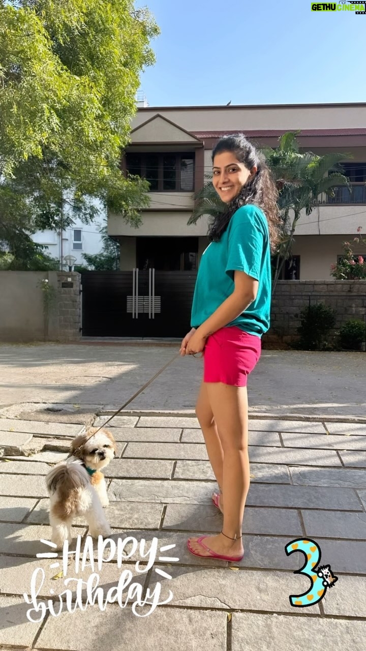 Varalaxmi Sarathkumar Instagram - Happy birthday to the love of my life..!! 3 years you have filled my life with only joy, love and laughter.. you have been there for me so many times that even you donโt know.. I love you my darling baby #gucci You complete me in ways that no one else can.!! Happy birthday baby Gucci..!! Iโm sorry Iโm not with you today but mummy promises to come back soon and celebrate your birthday ..๐๐๐๐ #happybirthday #3yearsold #furbaby #puppy #dogs #dogmom #dogstagram #cute #love #mammasboy We all love you โค๏ธ @natasha.jeyasingh @devi.chaya23 @navin_balachandran #kanmani @praveendaniel #nicholai @shameena_azeem #rehan @soniya_sri_np @ritta1301 @k.prabu.1993
