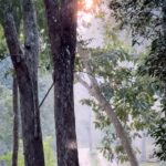 Varsha Bollamma Instagram – Nature’s heartbeat :’)