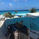 Verónica Montes Instagram - Días Maravillosos✨ #photodump @liveaquacancun #aqualover