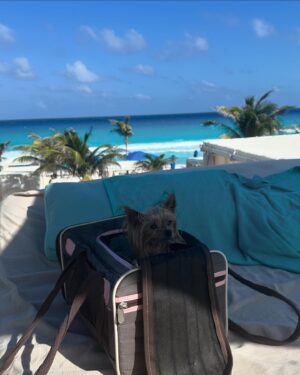 Verónica Montes Instagram - Días Maravillosos✨ #photodump 
@liveaquacancun 

#aqualover