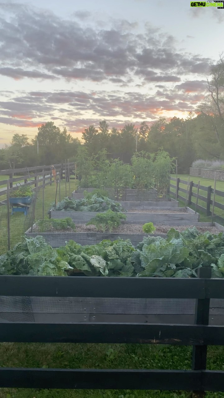 Vera Farmiga Instagram - My happy place.