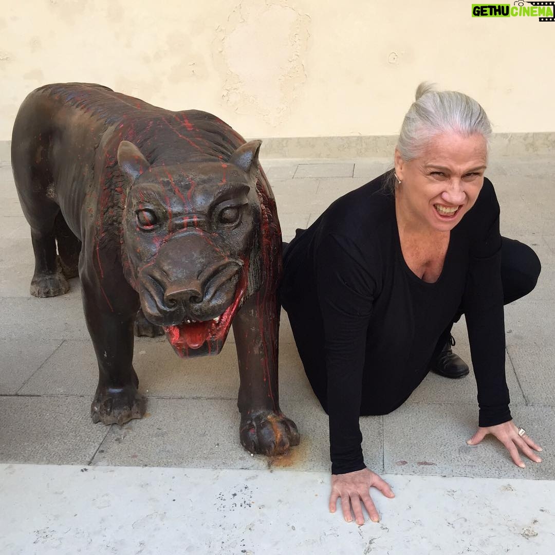 Vera Holtz Instagram - Os lobos envolvem quem quer que sinta na própria pele a angústia de um mundo onde os direitos são negados e a força prevalece sobre a razão.