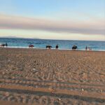 Vicky Kaya Instagram - Εδώ και 15 χρόνια απολαμβάνουμε τον παράδεισο του @rancheros_farm 🐴στην μαγευτική παραλία της Αγίας Άννας στην Εύβοια. Η Νανσυ και η αδερφή της Ντέπυ αγκαλιάζουν και φροντίζουν με απέραντη αγάπη τα άγρια άλογα της φάρμας, ανιδιοτελώς 🤍 Εδώ βρισκόμαστε κοντά στη φύση, ιππεύουμε, καθαρίζουμε, βοηθάμε, και πάνω απ’ όλα υποστηρίζουμε έναν φυσικό και ισορροπημένο τρόπο ζωής για τα παιδιά. Ας ενώσουμε τις δυνάμεις μας για να δώσουμε στο @rancheros_farm μια νέα στέγη 🏡 Όποιος ενδιαφέρεται μπορεί να επικοινωνήσει απευθείας με τα κορίτσια της φάρμας για περισσότερες πληροφορίες. #horselover #farm #eviagreece