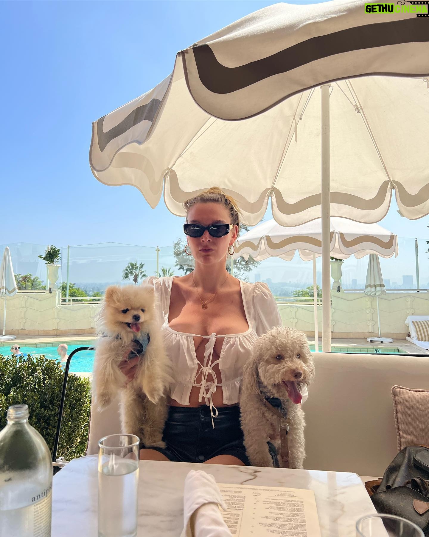 Victoria Jancke - 3 Likes - My 2 favorites 🐶 dogs are the better humans. ❤️ that’s what I call deep unconditional love. Are you team dog or cat?