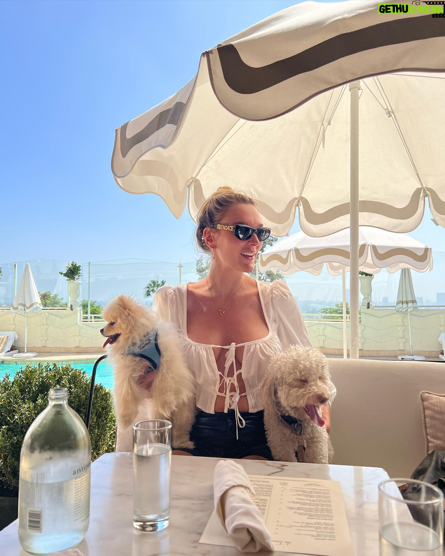 Victoria Jancke - 3 Likes - My 2 favorites 🐶 dogs are the better humans. ❤️ that’s what I call deep unconditional love. Are you team dog or cat?