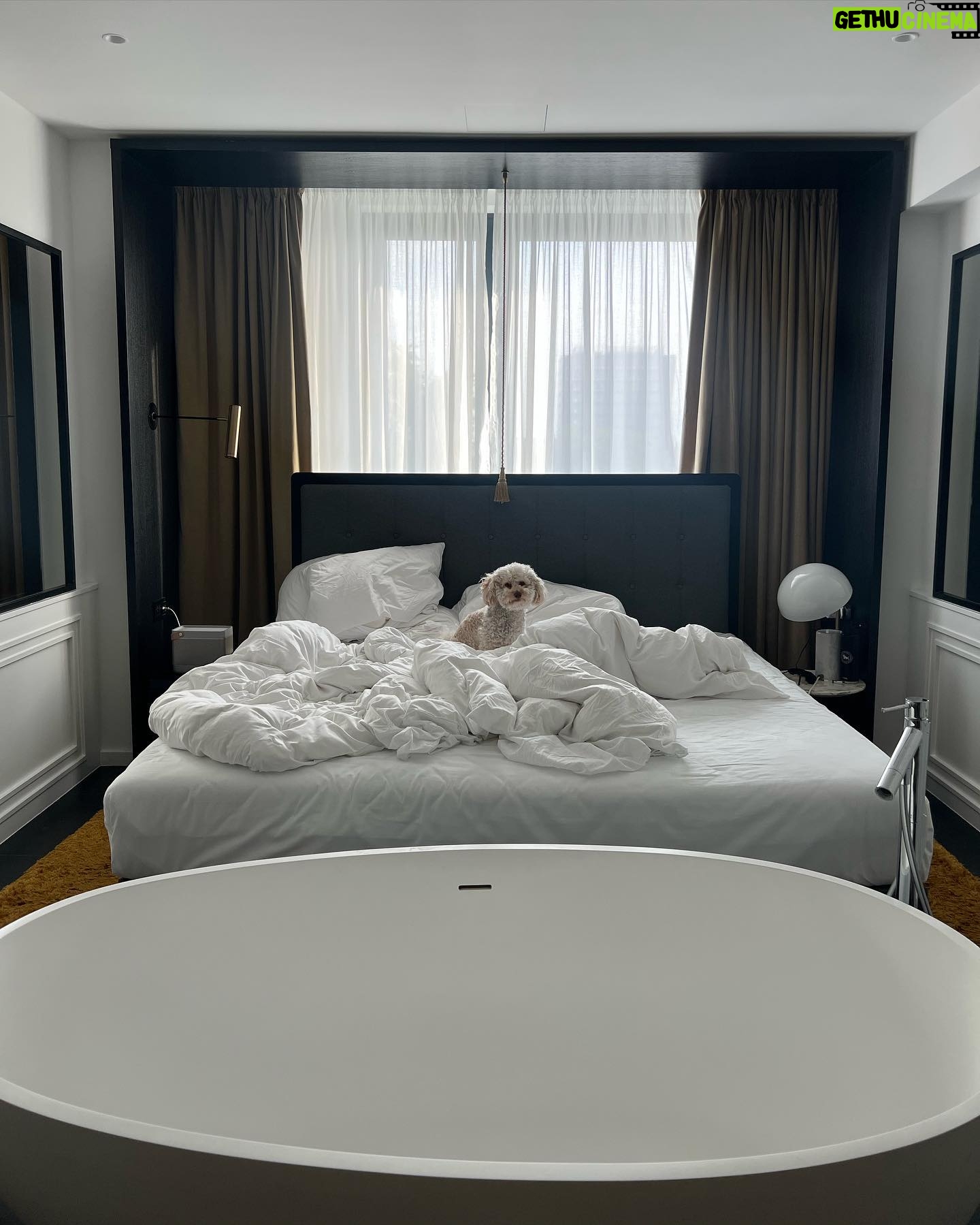 Victoria Jancke Instagram - #anzeige Woke up in @roomers.munich 🦁 favorite top @revolve