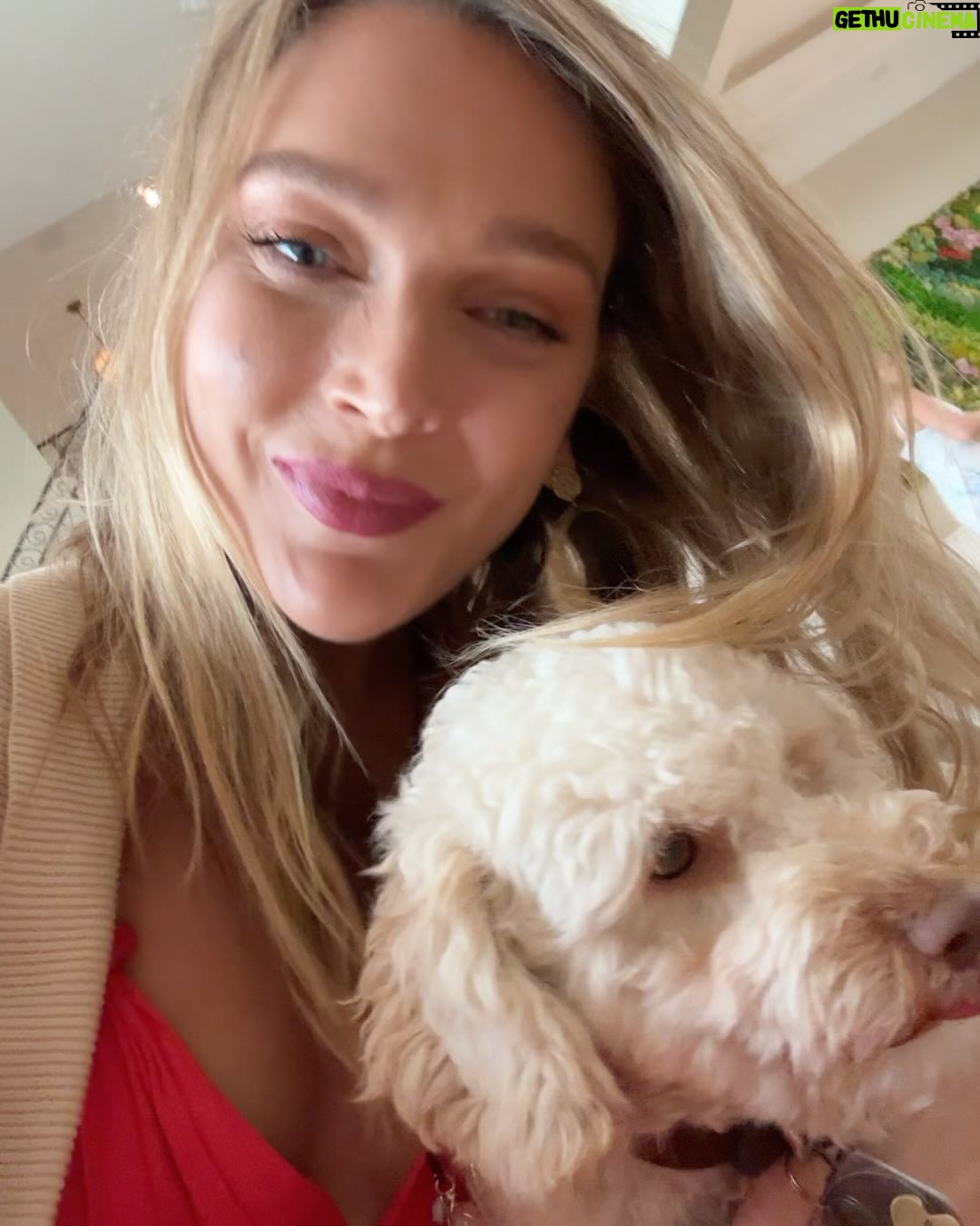 Victoria Jancke - 3 Likes - Merry Christmas everyone ❤️ Much love and blessings from @winnie.havapoo and me from our first Christmas in the US ✨🇺🇸❤️